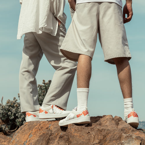 Charger l&#39;image 1 dans la galerie. Piana T33