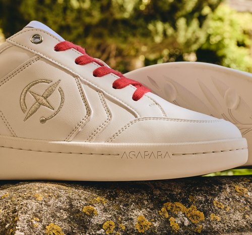 Load image 1 in gallery view. Tomato