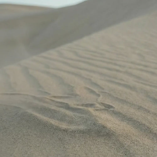 Cargar la imagen 1 en la vista de la galería. Pyne T36